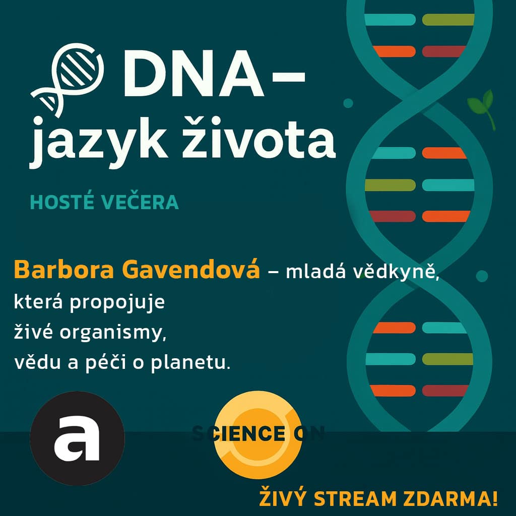 Plakát ARCHIMEDES Live 19